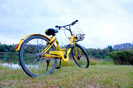 自行车绿道骑小黄车环形绿道自由出行背景