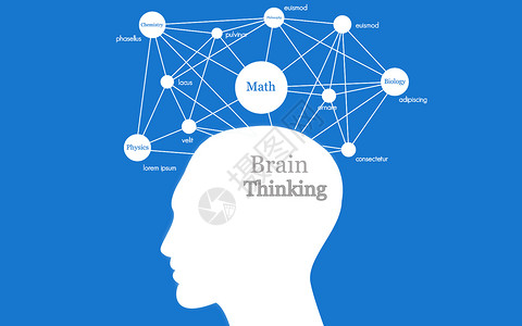 大脑结构智力发展高清图片
