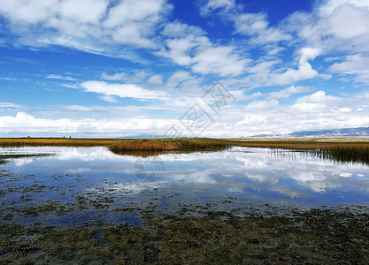 青海湖风光背景图片