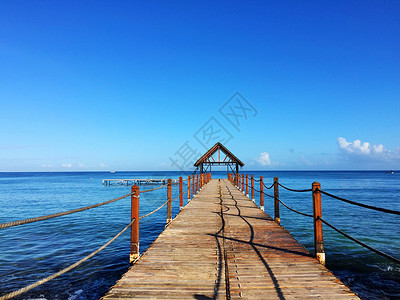 毛里求斯碧蓝海水上的木头栈桥背景图片