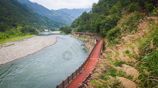 大绿河道边的绿道步行道背景