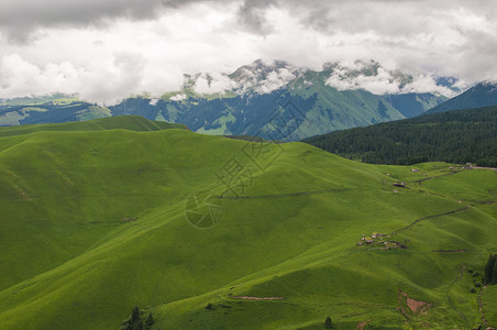 农牧业新疆高山草原背景