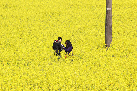 壮族祭田节毛笔字油菜花背景