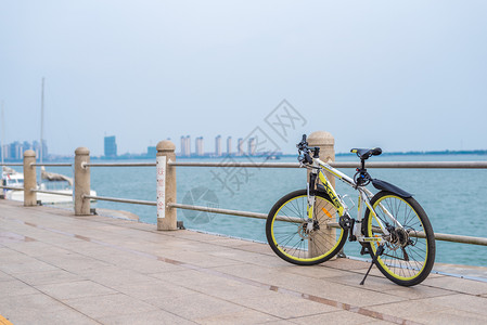 青岛海滨免费公园唐岛湾骑行背景图片