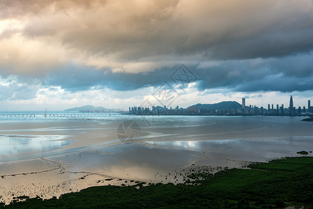 深圳湾城市风光背景图片