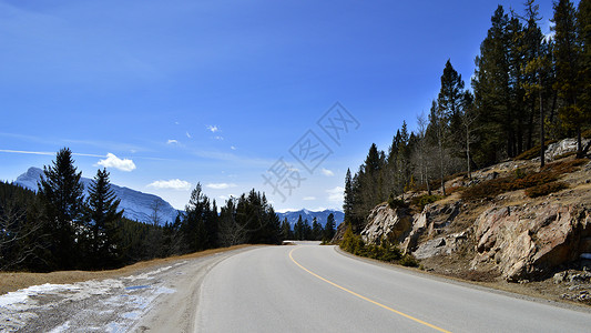 森林班夫加拿大班夫国家公园风景照背景