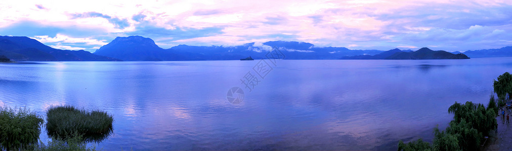 泸沽湖情人树泸沽湖背景