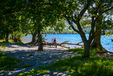 森林湖畔在森林覆盖的英格兰湖区温德米尔湖畔休闲背景