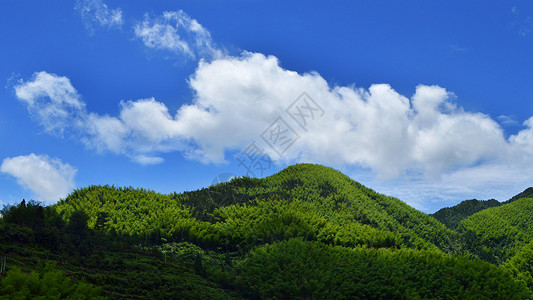 丽水绿色森林氧吧背景图片