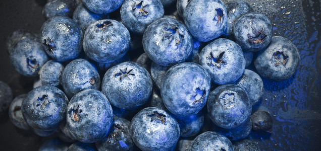 诱人蓝莓新鲜成熟的蓝莓背景