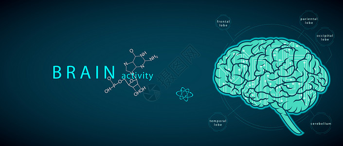 大脑活动活动素材軟件高清图片