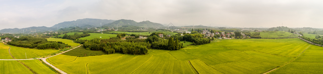 航拍田野图片