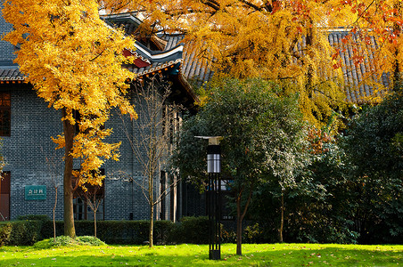 成都四川大学华西医院背景图片