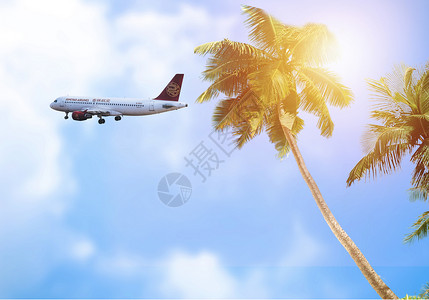 土耳其航空公司航空运输设计图片