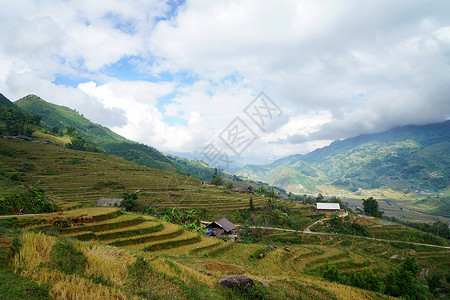 越南山地苗族梯田图片