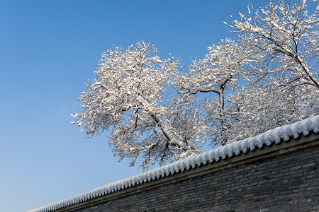 北京西城区北国雪景背景