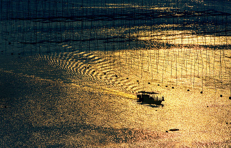渔船剪影福建霞浦唯美意境的金色海面背景