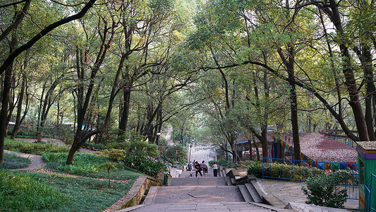 湖南株洲石峰公园森林步道背景