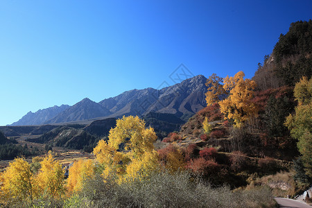 甘肃乡村马蹄寺风光背景