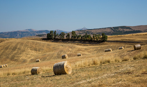 田园干草垛意大利西西里岛的田园风光背景