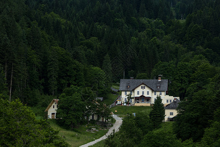 宗山古堡山林中的一栋古堡酒店背景