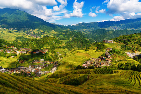 壮壮吉祥物梯田美景背景