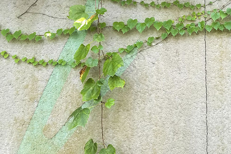 自然风景图片