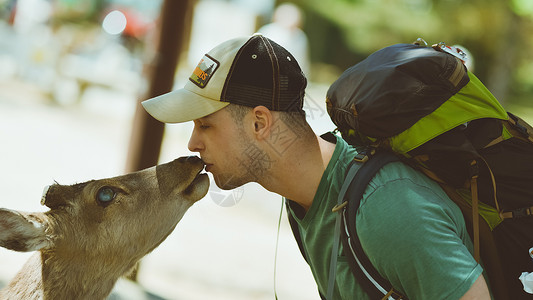 人与动物和谐与鹿亲吻的游客背景