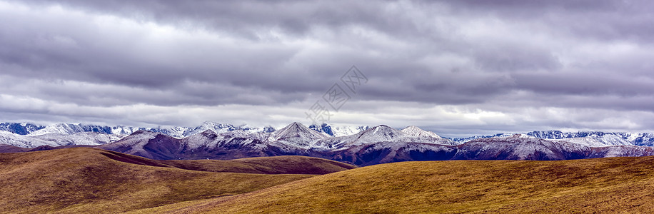 羊年壁纸雪山风光背景