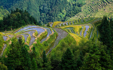 蓝天梯田加榜梯田背景