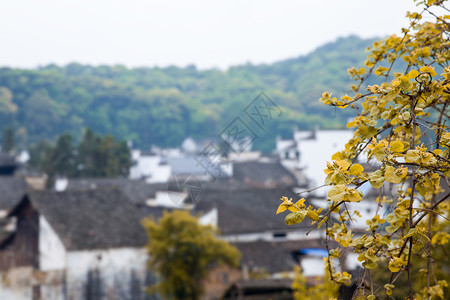 婺源风光背景图片