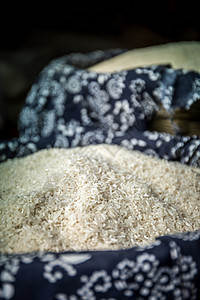 大米南方水稻高清图片
