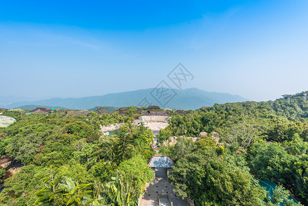 海南三亚亚龙湾热带雨林背景图片