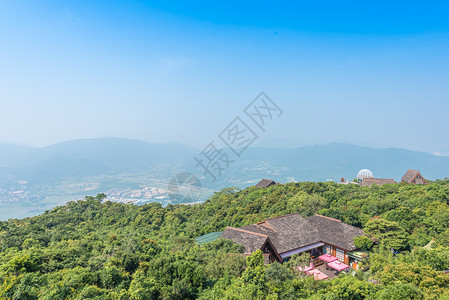 三亚热带森林公园海南三亚亚龙湾热带雨林背景