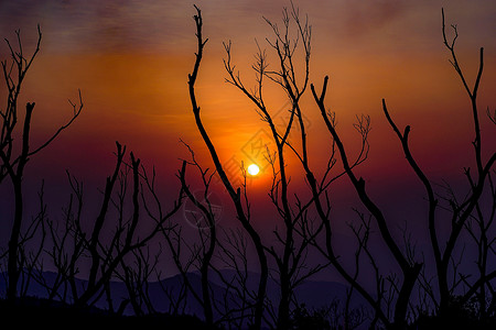 香港阳明山山顶夕阳图片