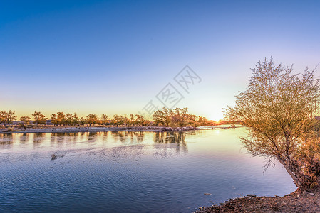 水麦额尔齐斯河的夕阳背景