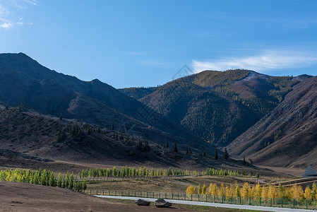 王室陈列馆阿尔泰山脉背景