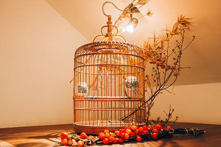 茶馆装饰中国风鸟笼背景图片