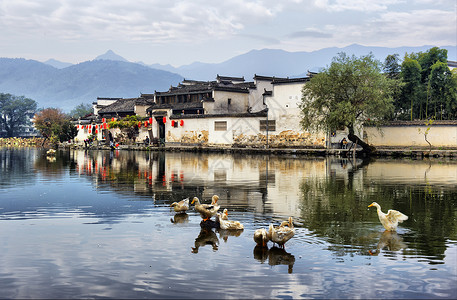 婺源秋色老房子花圃高清图片