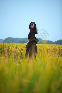 种水稻的女孩稻田里的美女写真背景