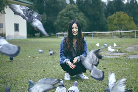 喂鸽子的女孩图片