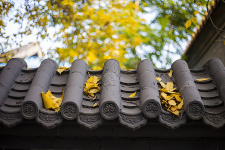 屋顶上的落叶和瓦当背景