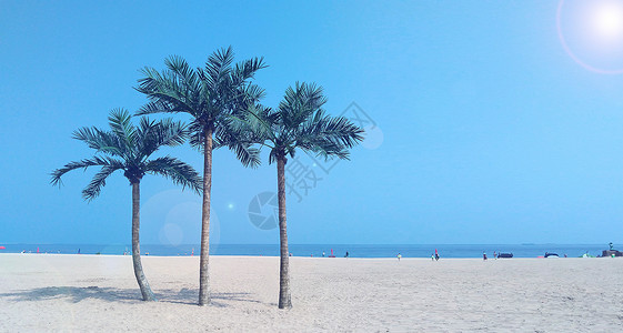 夏日手绘椰子树沙滩上的椰子树背景