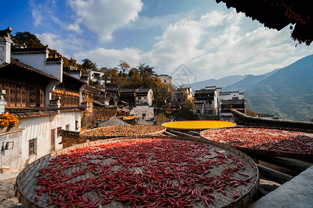 旧时光海报秋天婺源篁岭晒秋背景