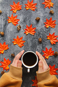 初冬温暖秋冬手捧咖啡温暖枫叶图背景