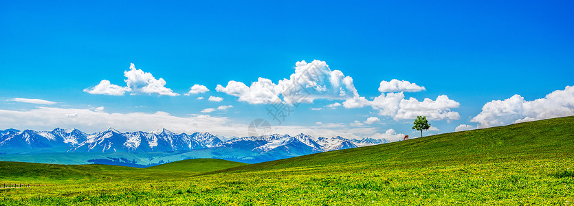 小树图标草原风景背景