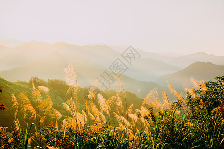 白色雾气云山中的迷雾背景