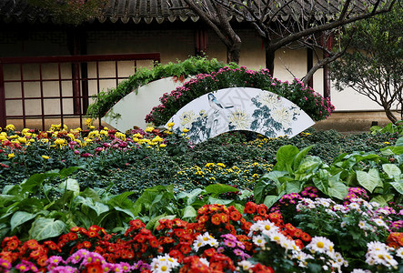 开封菊花展苏州留园菊花展背景