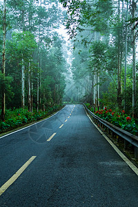 林间 公路图片