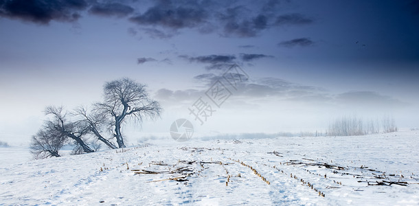 大漠雪景图片